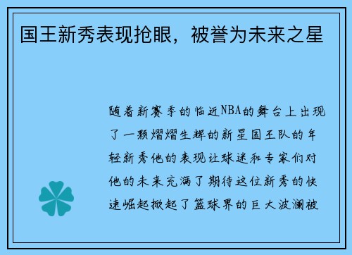 国王新秀表现抢眼，被誉为未来之星