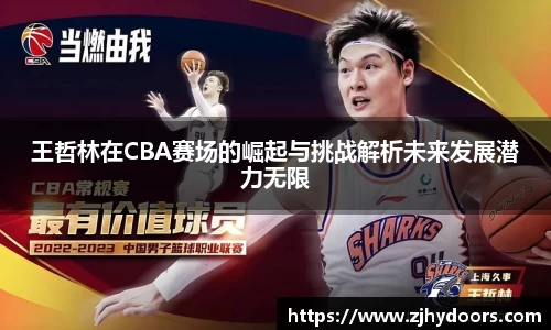 王哲林在CBA赛场的崛起与挑战解析未来发展潜力无限